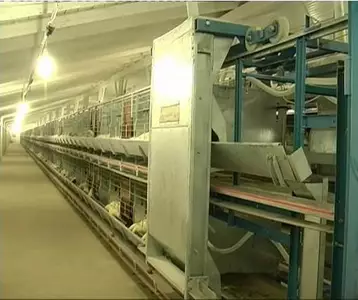 Система кормораздачи Система кормораздачи