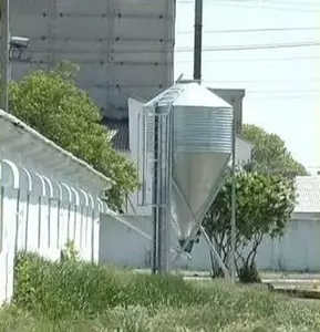 Оборудование для выращивания и содержания свиней Оборудование для выращивания и содержания свиней